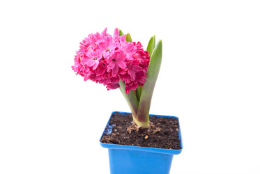 Similar image 10915664