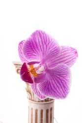 Similar image 10915640