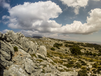 Similar image 10915562