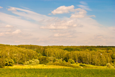 Similar image 10915659