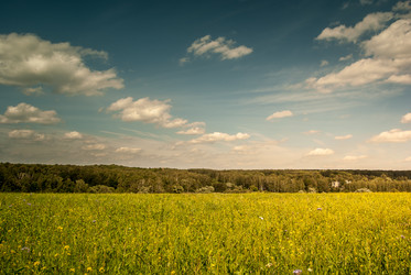 Similar image 10915611