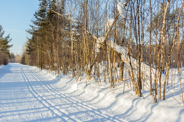 Similar image 10914030