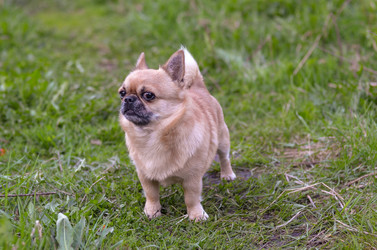 Similar image 10914031