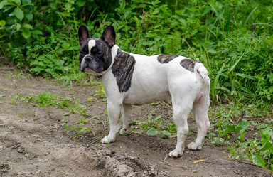 Similar image 10914033