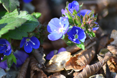 Similar image 10913985