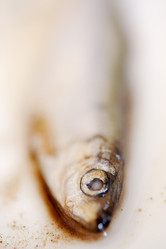 Similar image 10914514