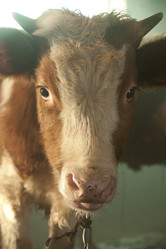 Similar image 10914518