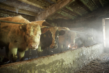 Similar image 10914519