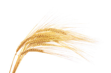 Similar image 10916262