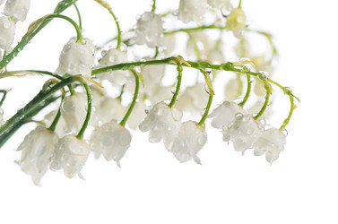 Similar image 10916275