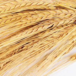 Similar image 10916207