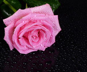 Similar image 10916208