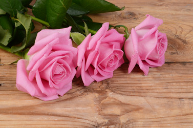 Similar image 10916209