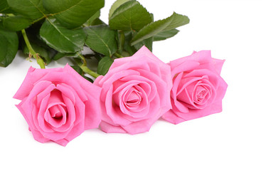 Similar image 10916211