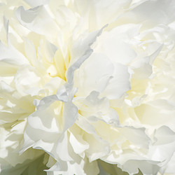 Similar image 10916212