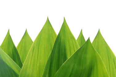 Similar image 10916232