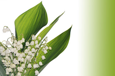 Similar image 10916233