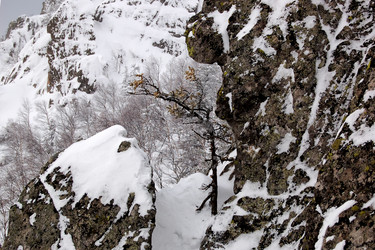 Similar image 10935691