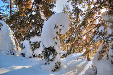 Similar image 10935692