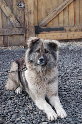 Similar image 10936038