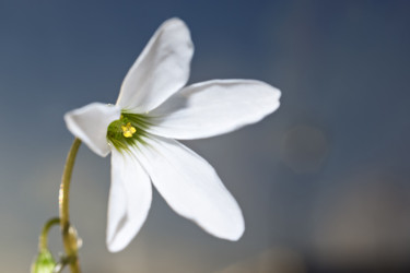 Similar image 10958917