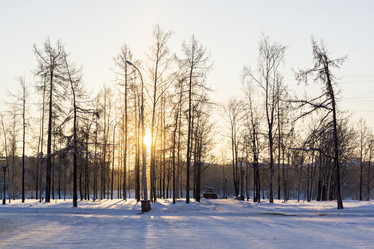 Similar image 10958918