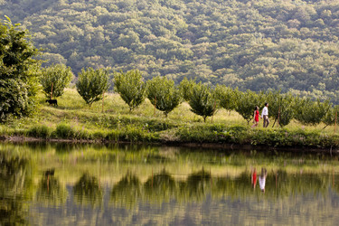 Similar image 10933023