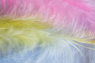 Similar image 10919867