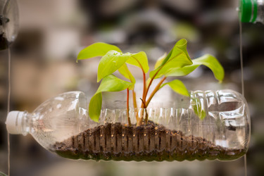 Similar image 10919886