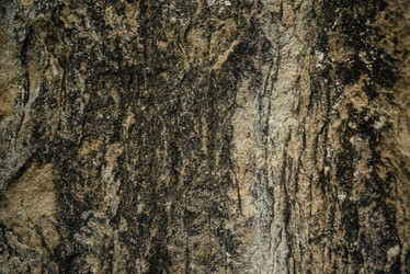 Similar image 10944159