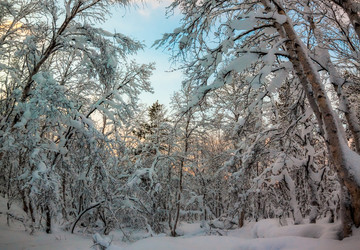 Similar image 10926470