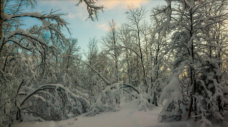 Similar image 10926472