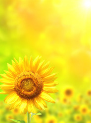 Similar image 10917846