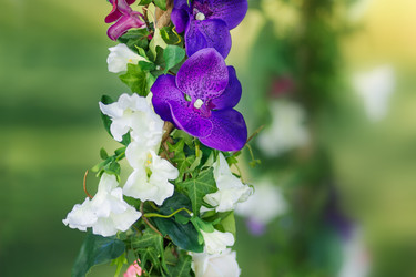 Similar image 10955849