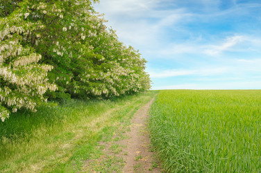 Similar image 10951450