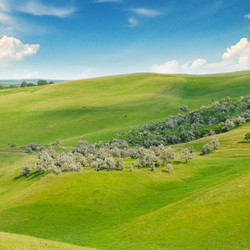 Similar image 10951452