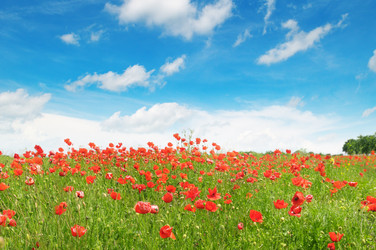 Similar image 10951466