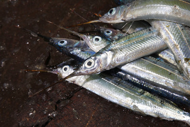 Similar image 10930260