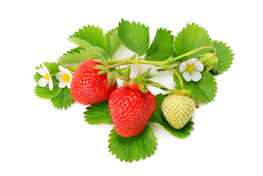 Similar image 10951470