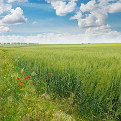 Similar image 10951471