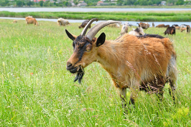 Similar image 10951473