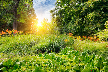 Similar image 10951474