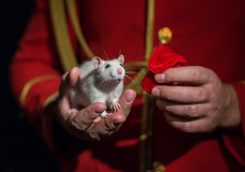 Similar image 10955851