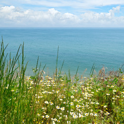 Similar image 10951467