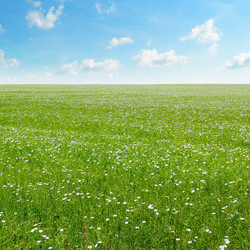 Similar image 10951476