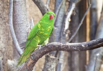 Similar image 10951902