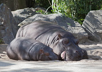 Similar image 10951907