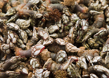 Similar image 10951957