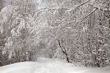 Similar image 10951712