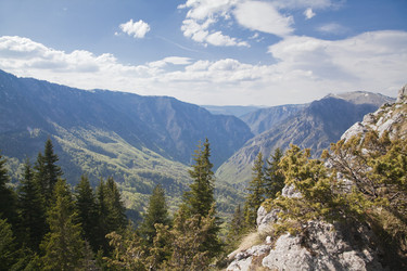 Similar image 10951646